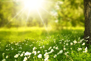 エネルギーヒーリング